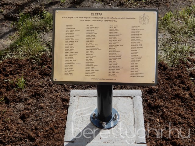 Életfát ültettünk 02